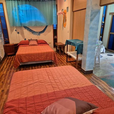 Cozy Hosting Galapagos Apartment Puerto Ayora  Exterior photo