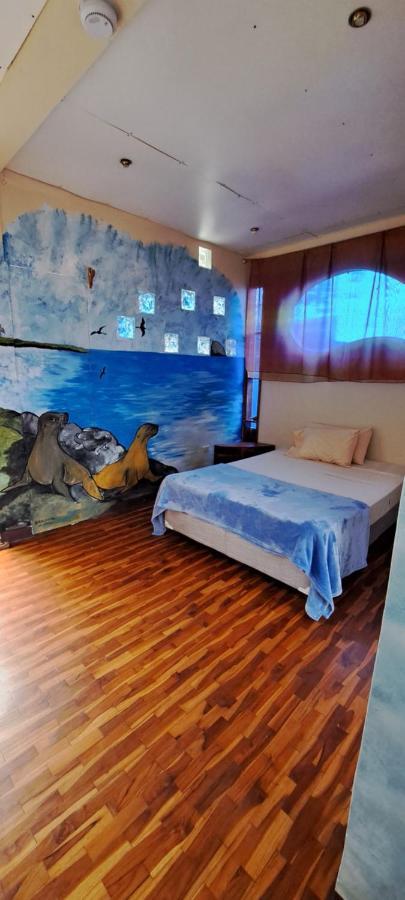 Cozy Hosting Galapagos Apartment Puerto Ayora  Exterior photo